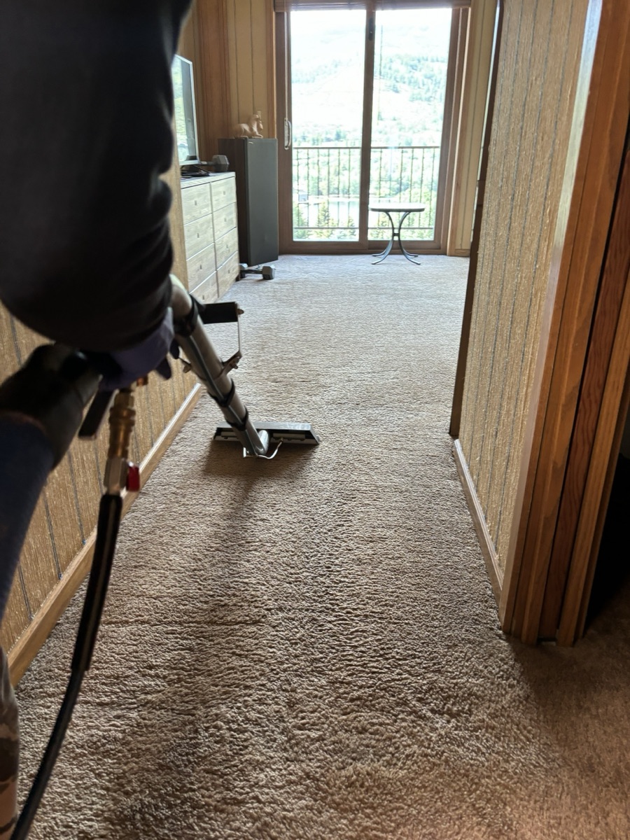 Professional carpet steam cleaning in Colorado mountain property