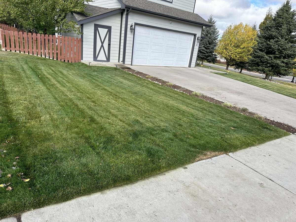 Professionally mowed lawn with clean stripe pattern — Eagle County Colorado